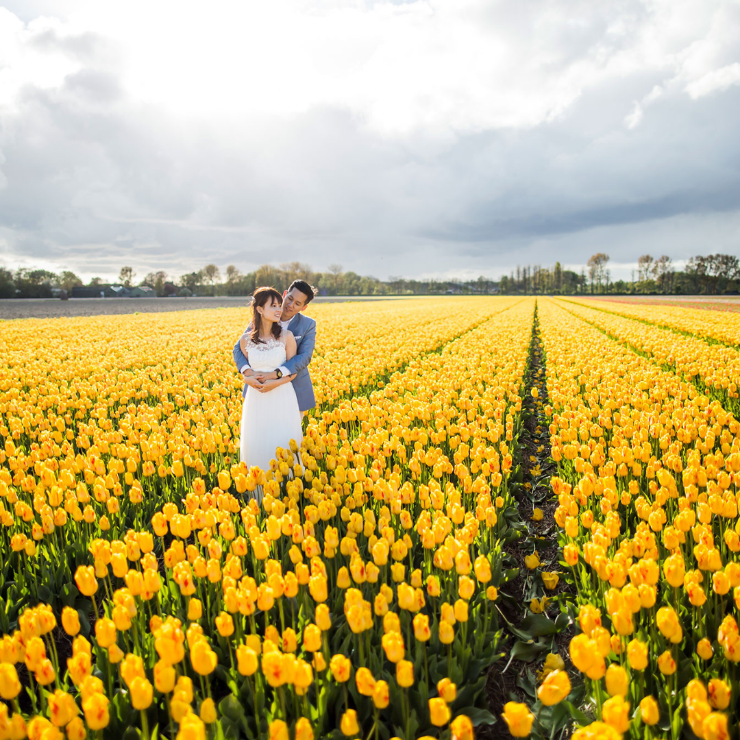My Forever Weddings