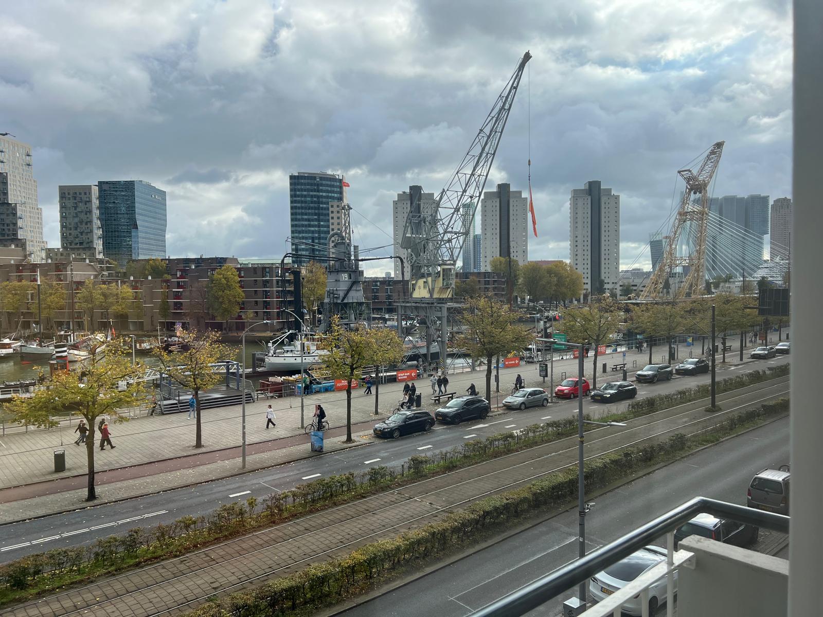 Rotsvast Rotterdam