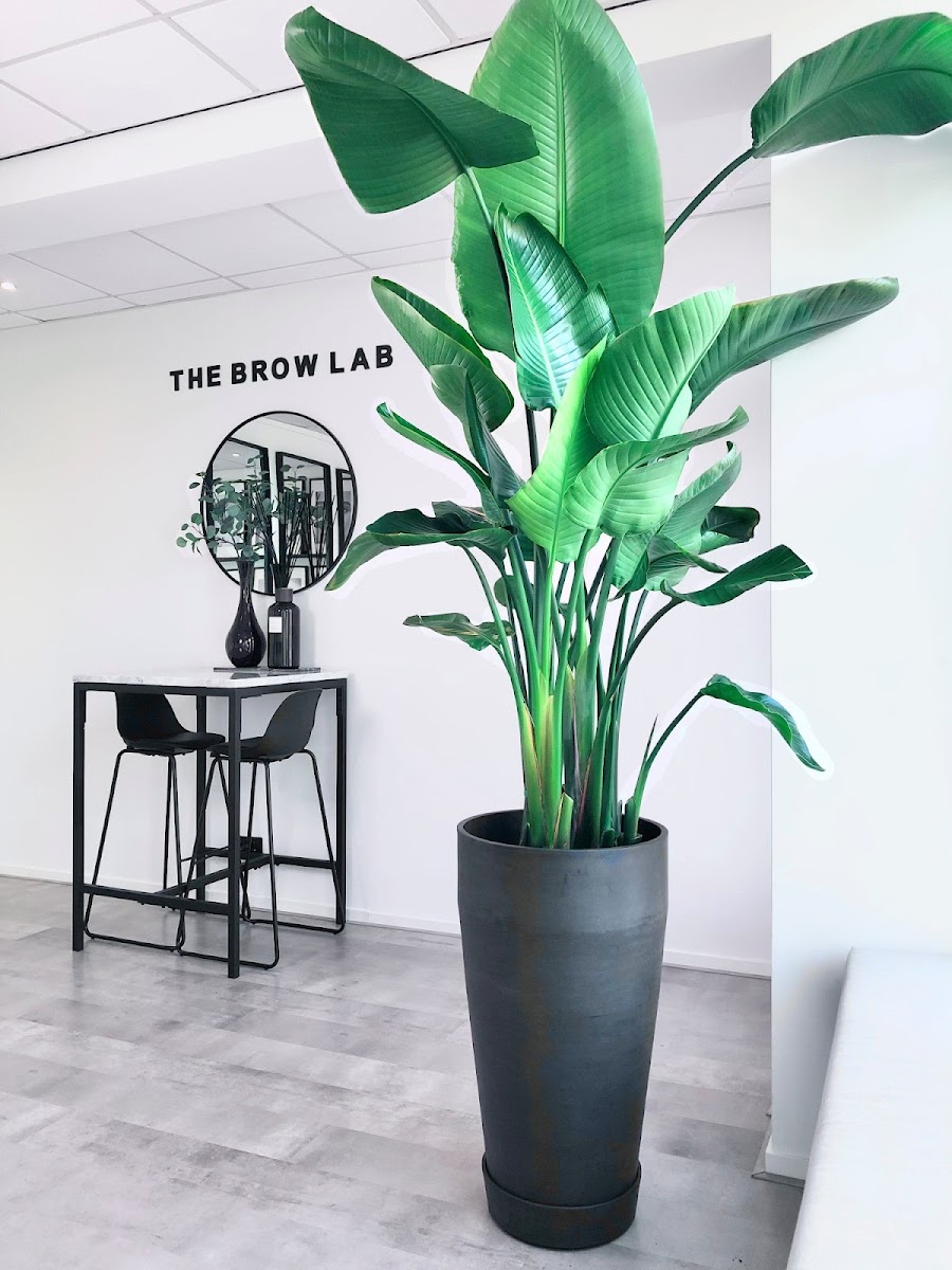THE BROW LAB