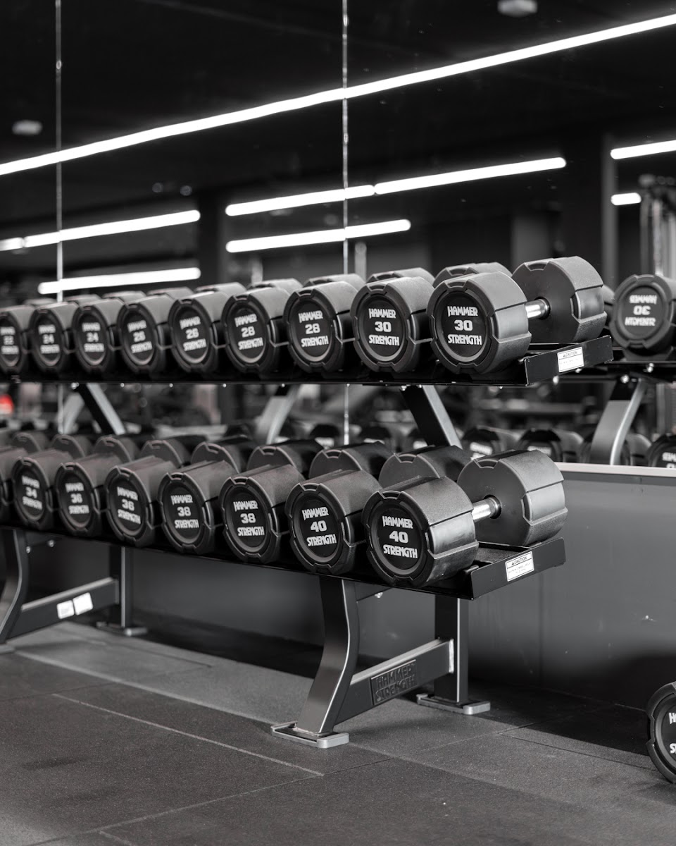 APEX | Gym Meppel