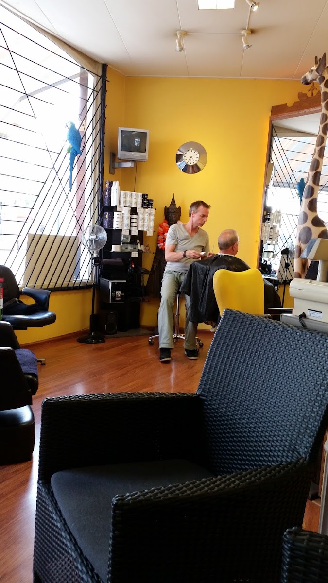 The Chair Salon