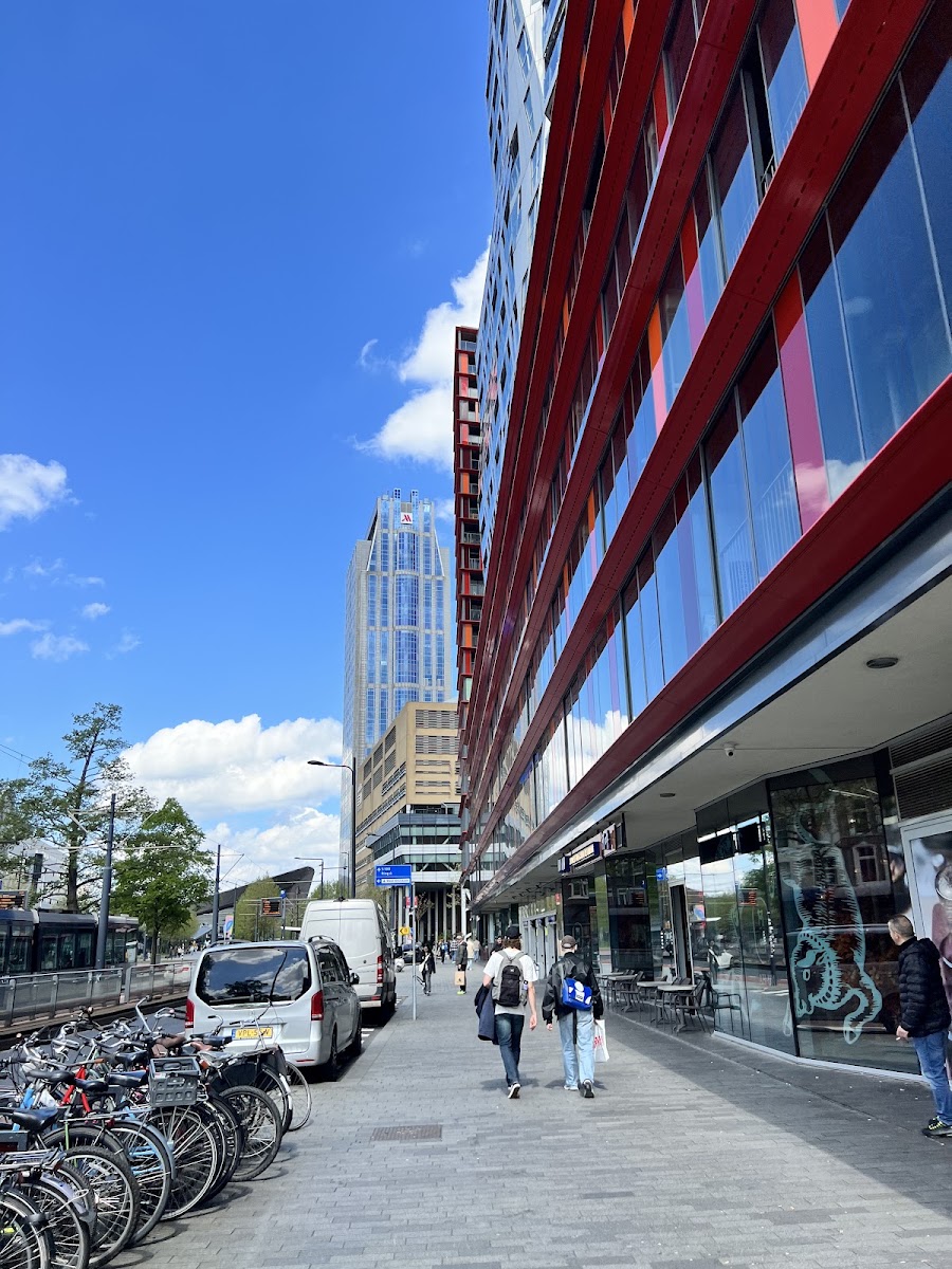 de Doelen