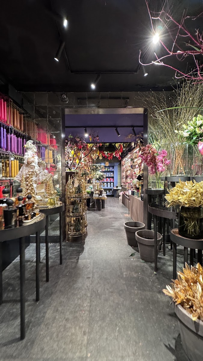 Menno Kroon Atelier Amsterdam