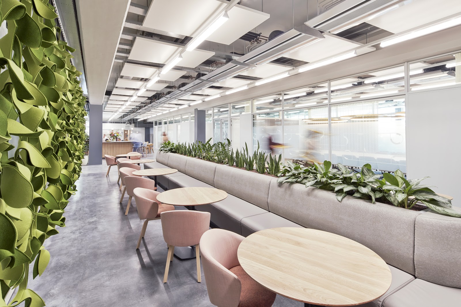 Colliers Amsterdam