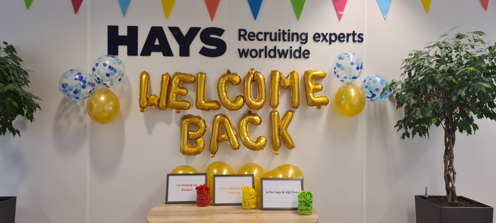 Hays Amsterdam