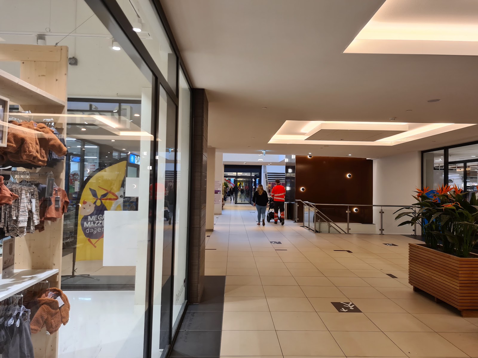 Albert Heijn